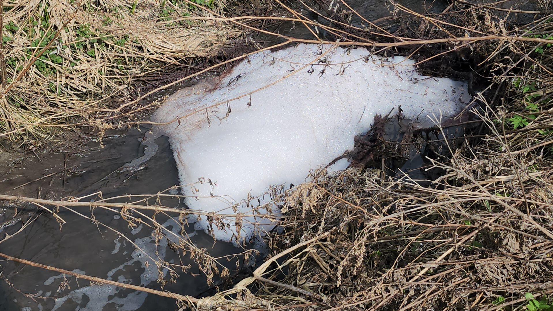 серпухов, ивановская деревня, река кюлька, ливневки, промышленные стоки, экология, депутат-эколог,