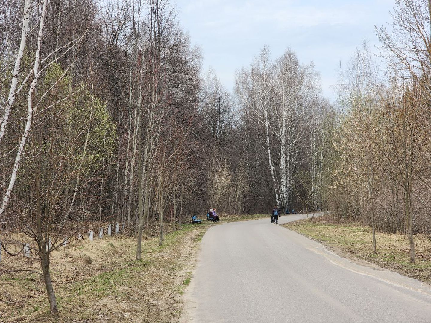 пущино, светлый город, благоустройство,