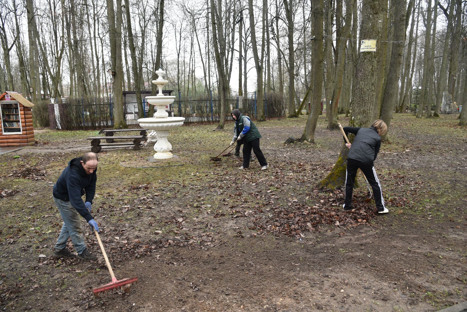 лотошино, лотошинский парк, субботник, благоустройство, парки подмосковья,