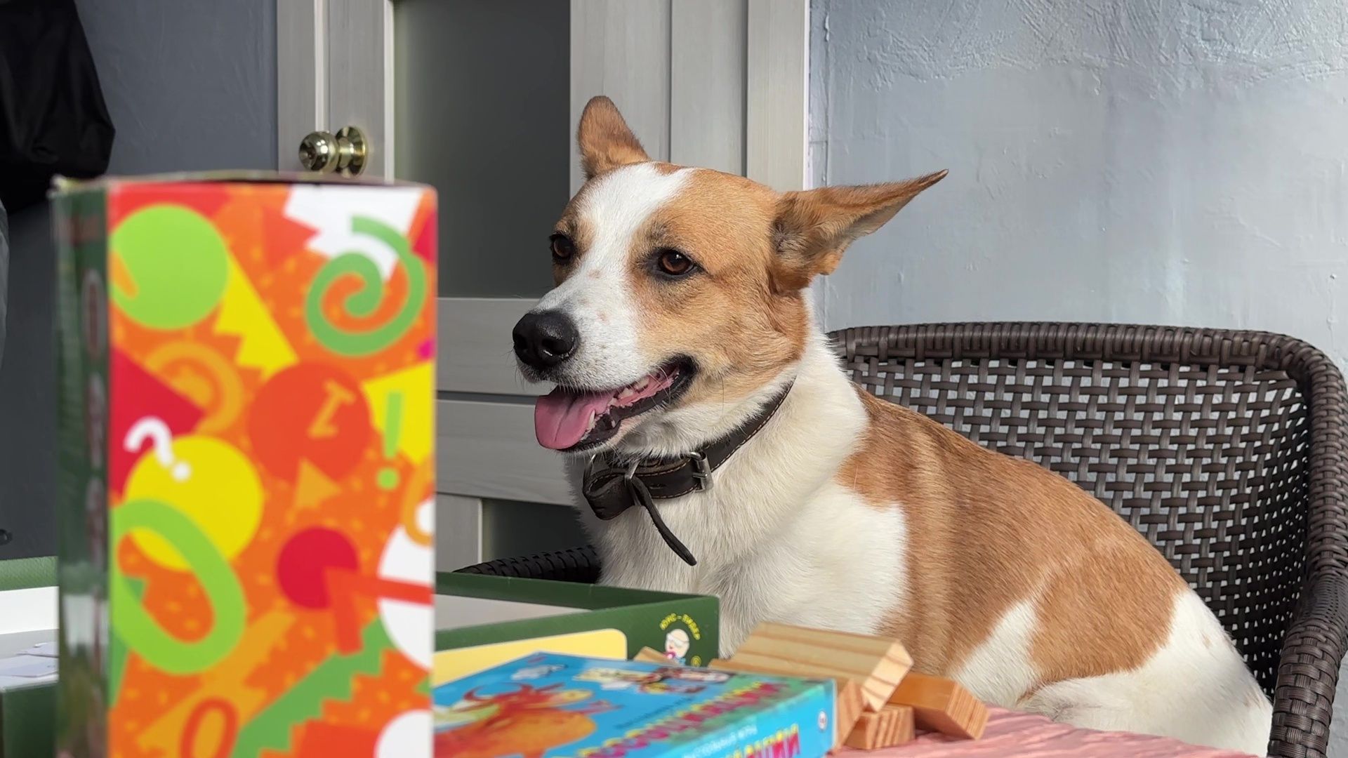 Реутов, Кузьма, пространство У Кузи, пес, собака рулит, игры, мастер-классы,