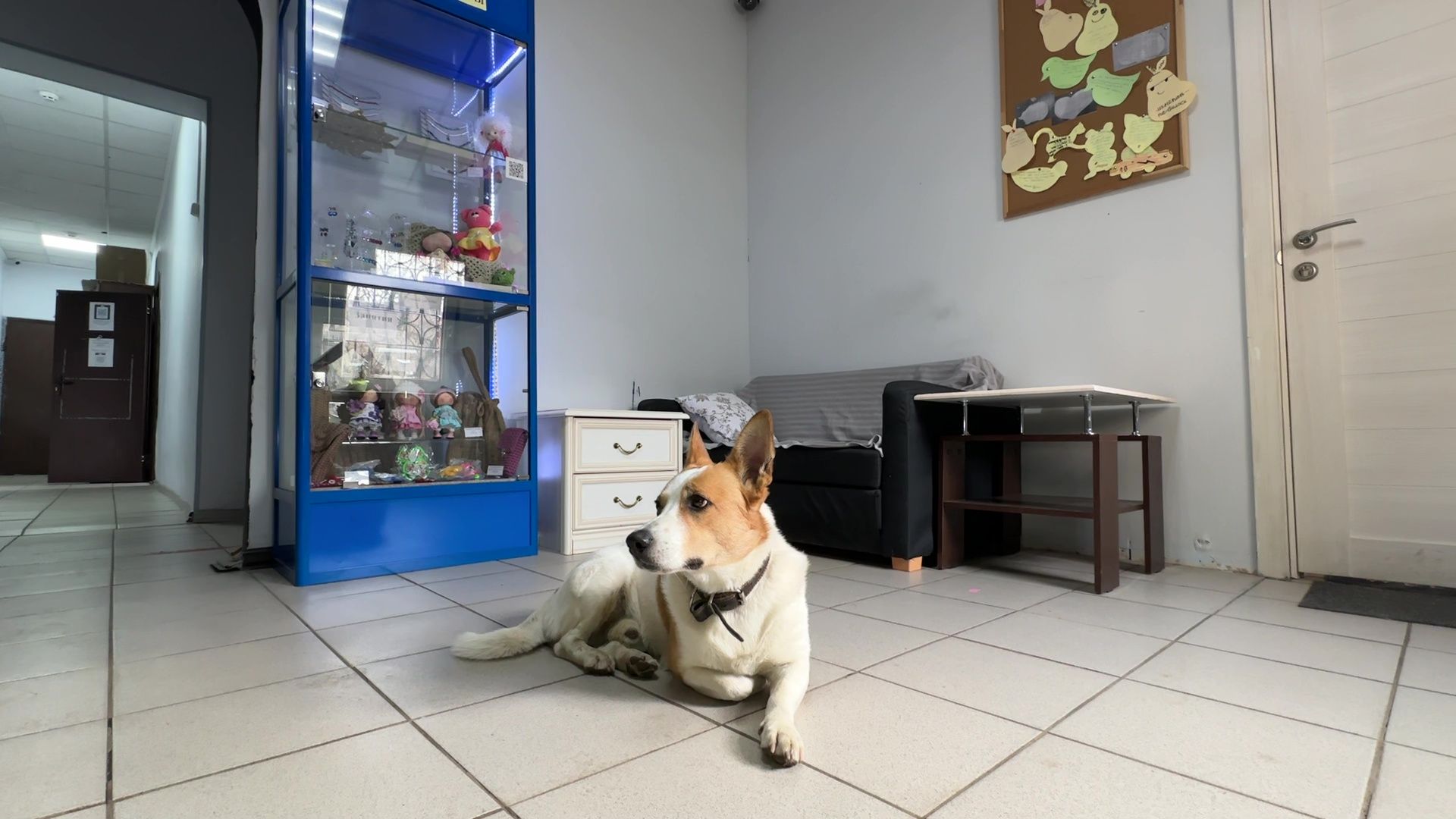 Реутов, Кузьма, пространство У Кузи, пес, собака рулит, игры, мастер-классы,