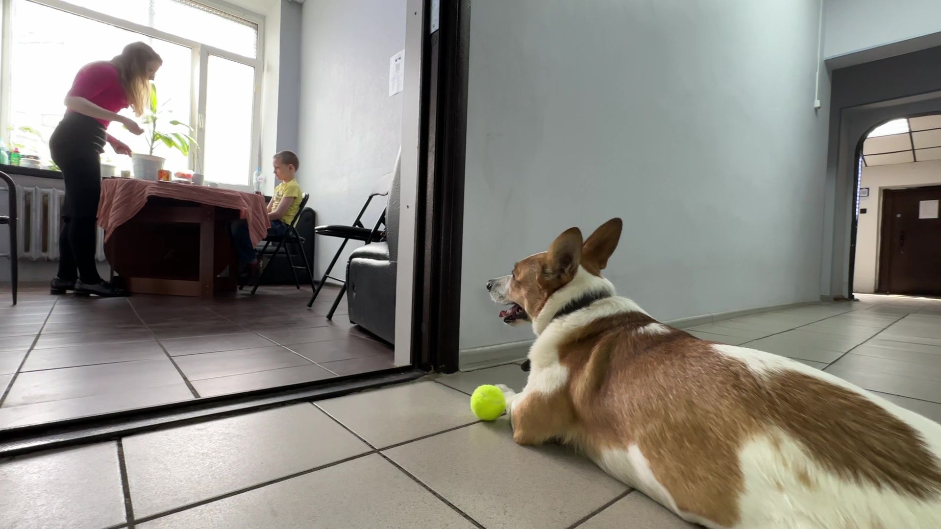 Реутов, Кузьма, пространство У Кузи, пес, собака рулит, игры, мастер-классы,