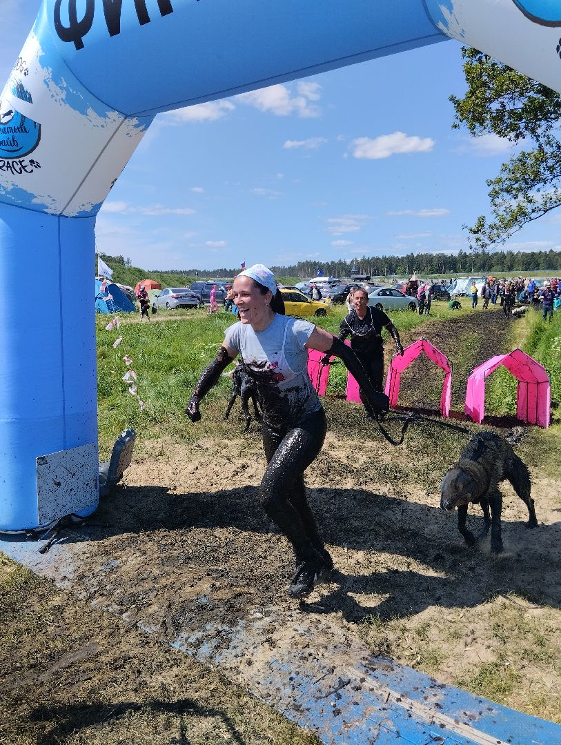Хвостатый драйв, забег с препятствиями,спорт, Старая Купавна, Богородский городской округ,