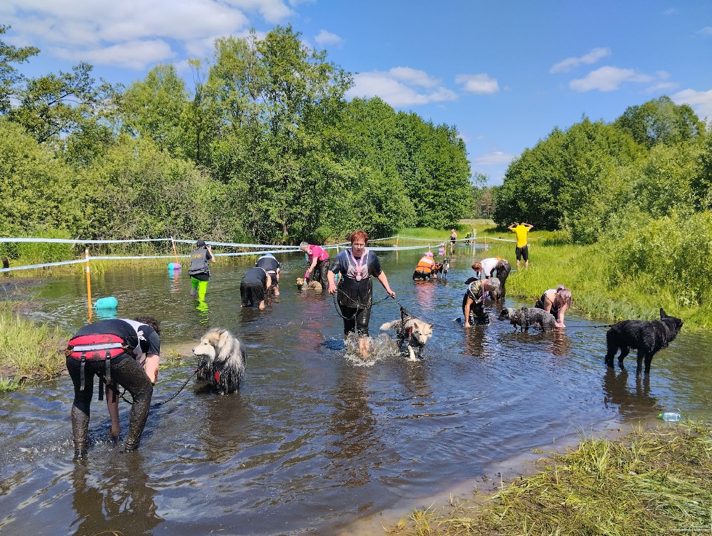 Хвостатый драйв, забег с препятствиями,спорт, Старая Купавна, Богородский городской округ,