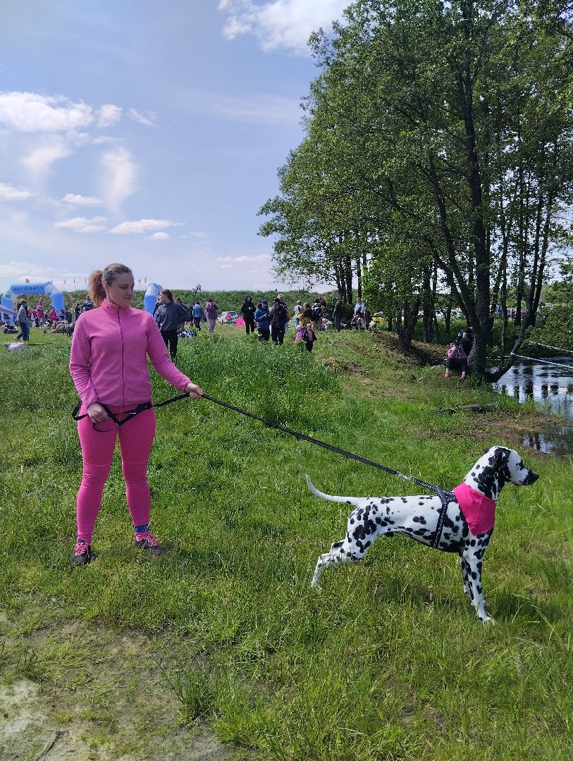 Хвостатый драйв, забег с препятствиями,спорт, Старая Купавна, Богородский городской округ,