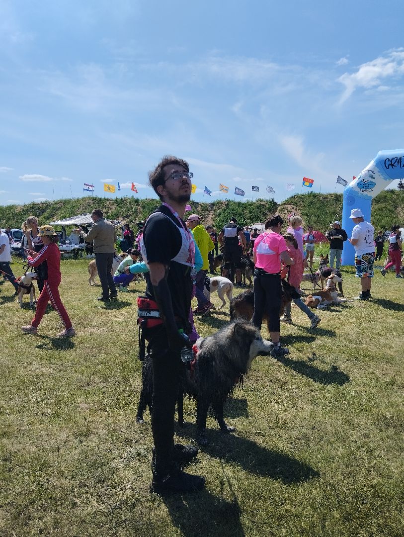 Хвостатый драйв, забег с препятствиями,спорт, Старая Купавна, Богородский городской округ,