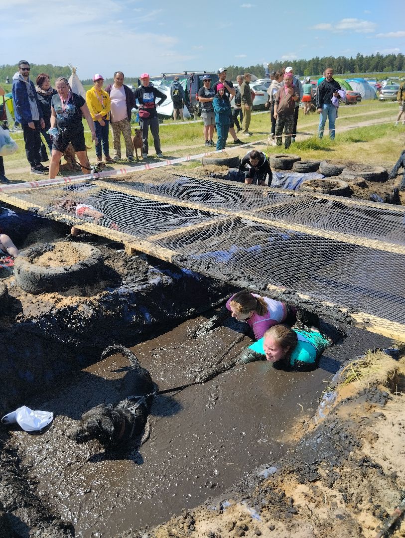Хвостатый драйв, забег с препятствиями,спорт, Старая Купавна, Богородский городской округ,