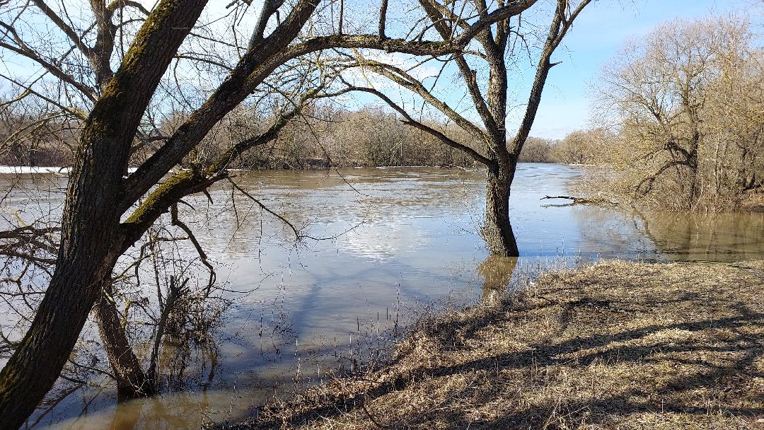 выходные в подмосковье, река, парк, перемены