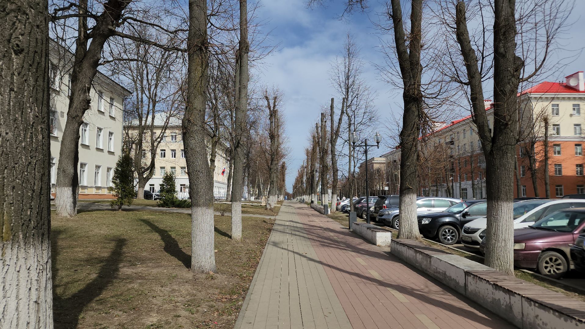 ступино, аллергия в подмосковье, сезонная аллергия, медициана подмосковья,