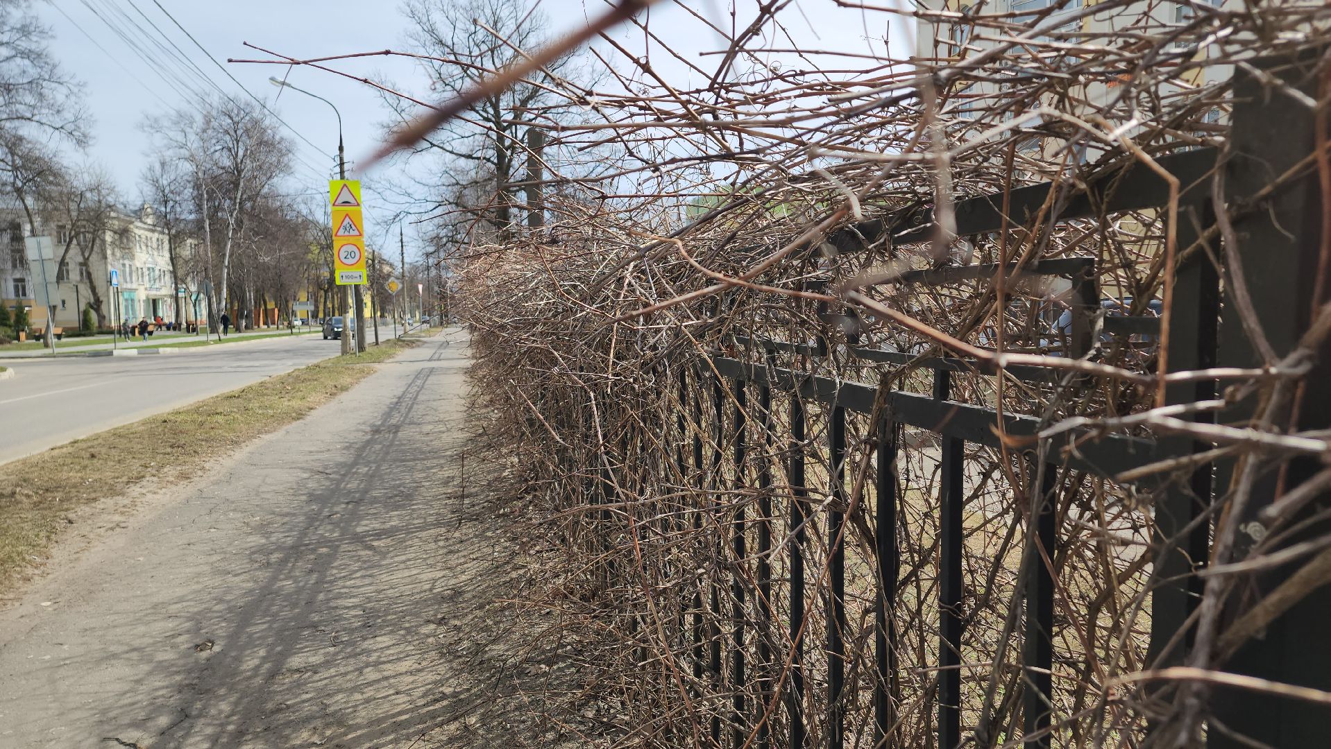 ступино, аллергия в подмосковье, сезонная аллергия, медициана подмосковья,