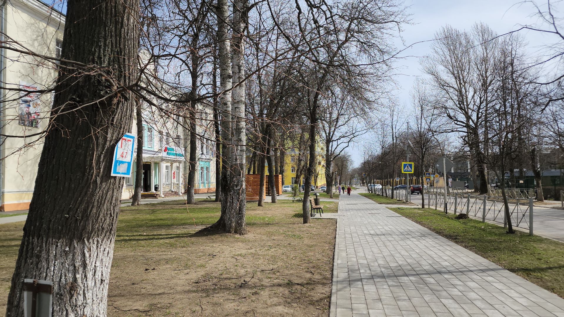 ступино, аллергия в подмосковье, сезонная аллергия, медициана подмосковья,