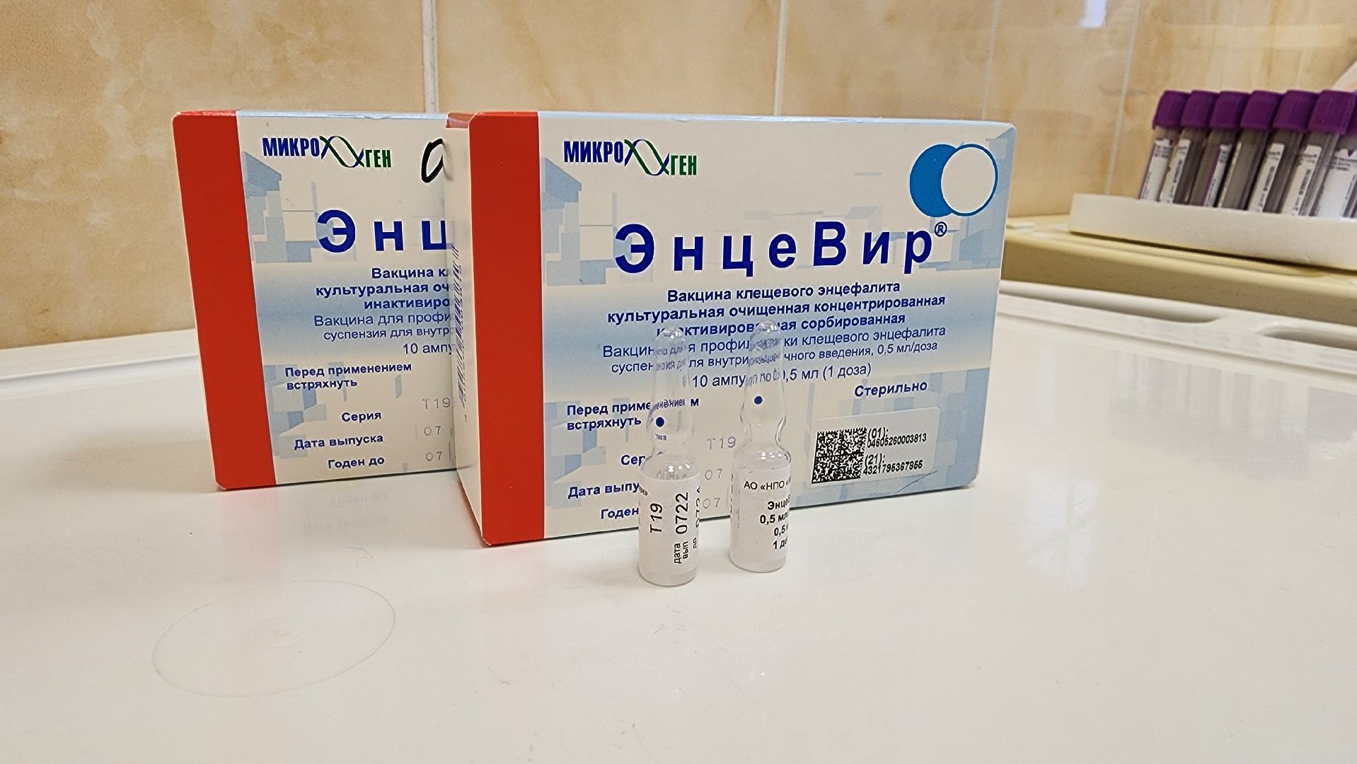 вакцинопрофилактика, клещевой энцефалит,