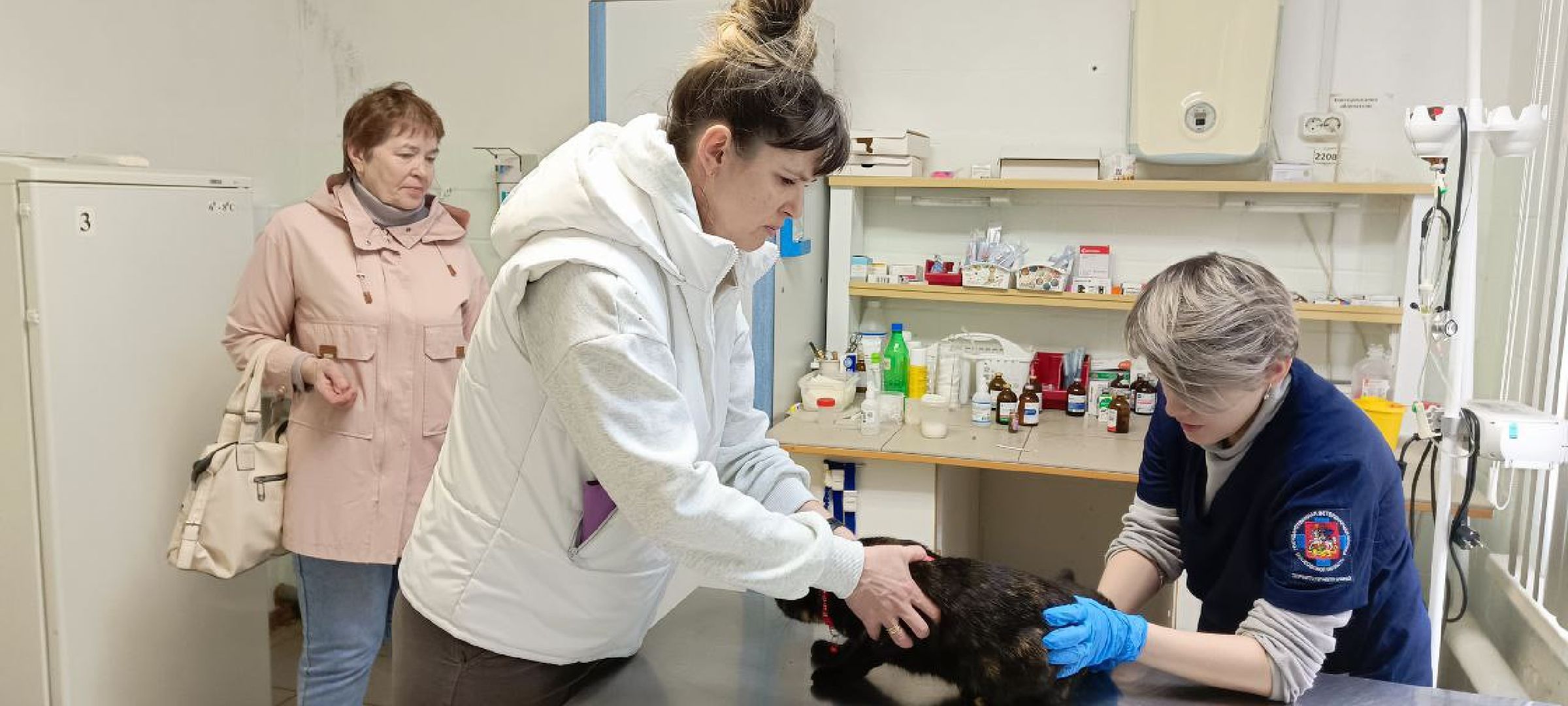 Талдом, Государственная ветстанция, Чипирование домашних животных,