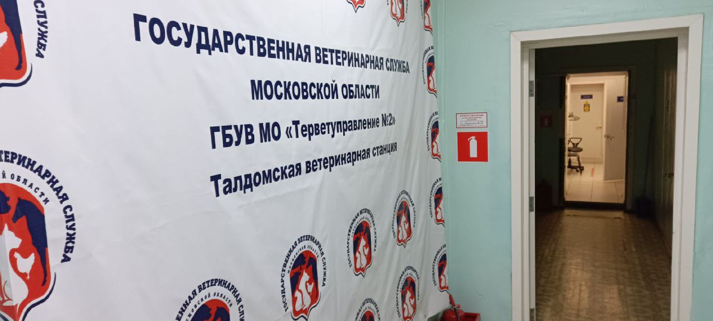 Талдом, Государственная ветстанция, Чипирование домашних животных,