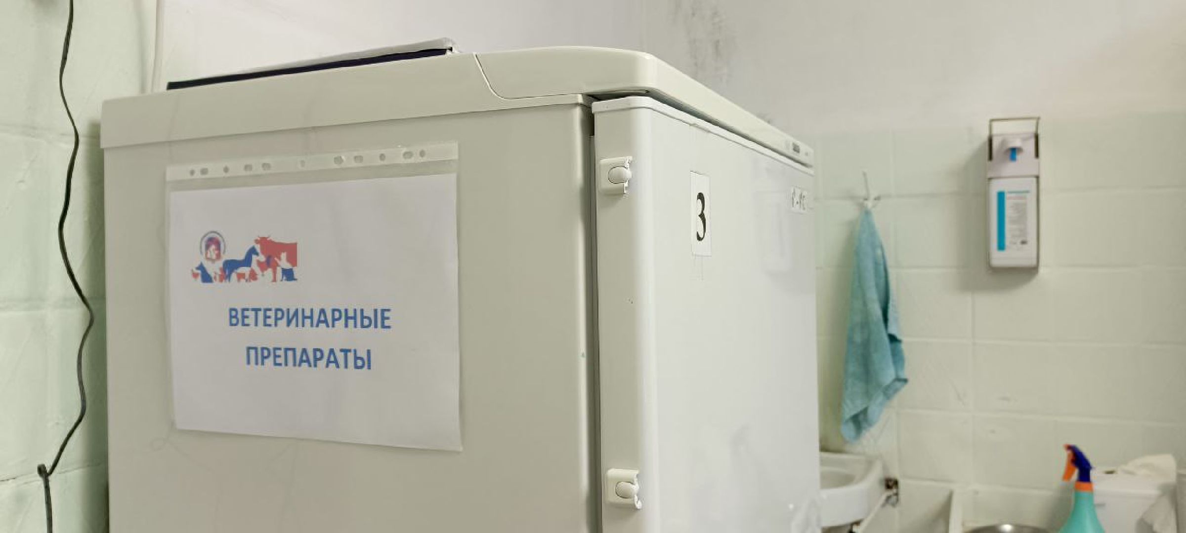 Талдом, Государственная ветстанция, Чипирование домашних животных,