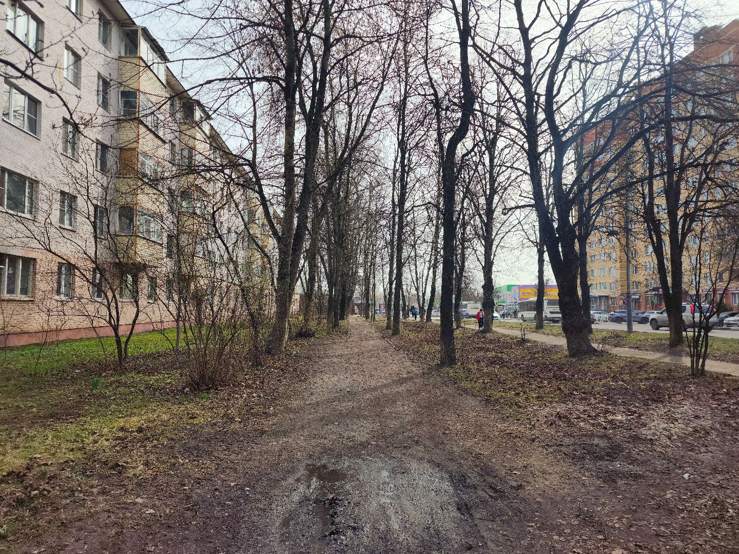 Звенигород, Дороги, Благоустройство, Капитальный ремонт, Народные тропы,