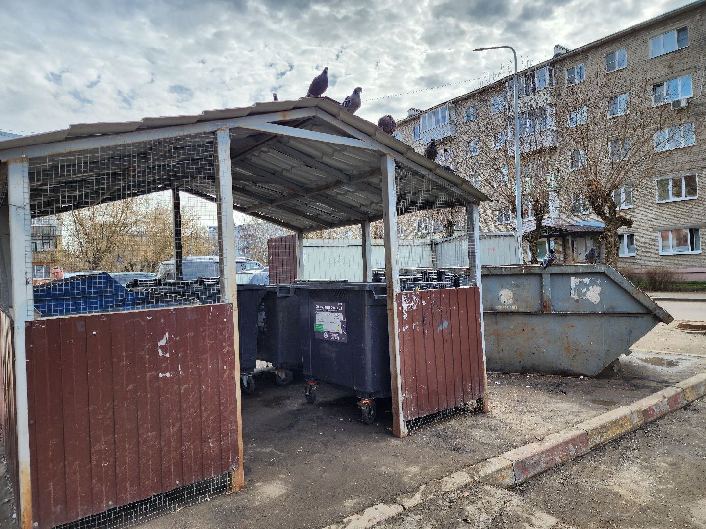 ногинск, власть, общество, обращение к главе города,