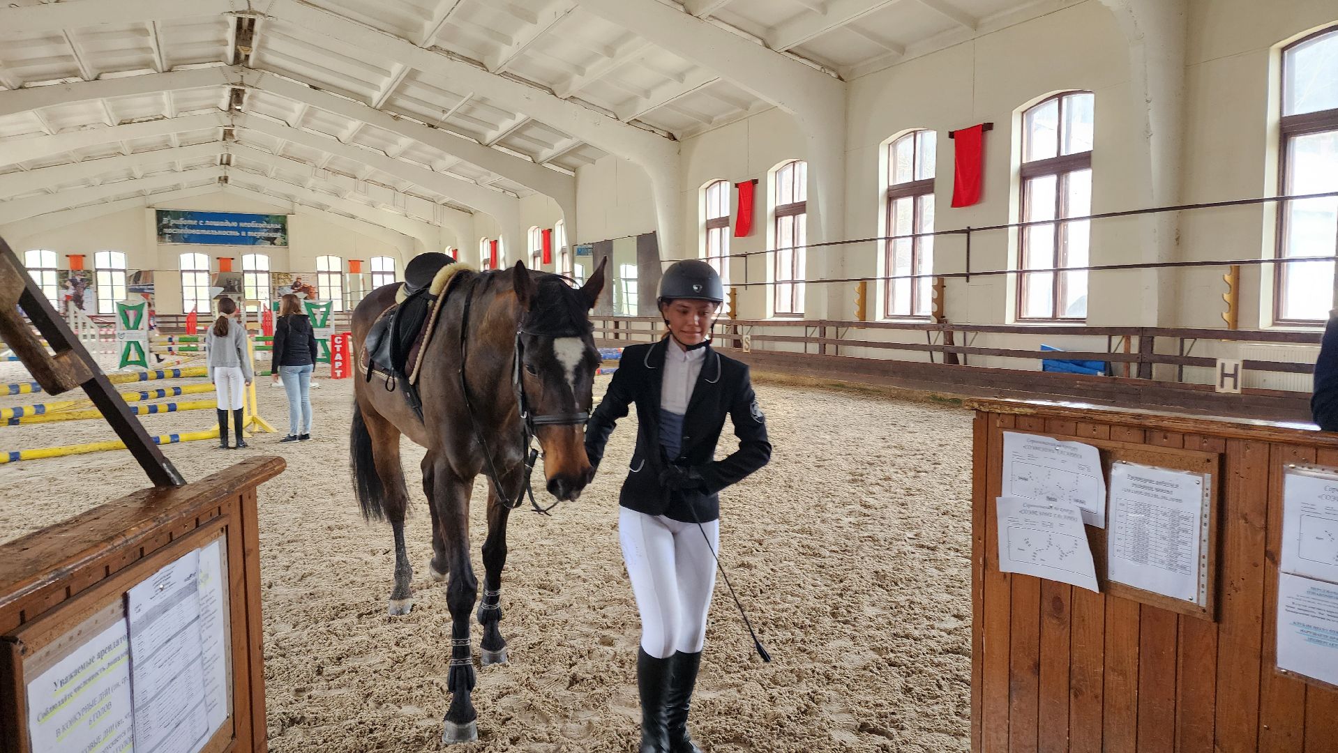 Подольск, Конкур, Лошади, Спорт,