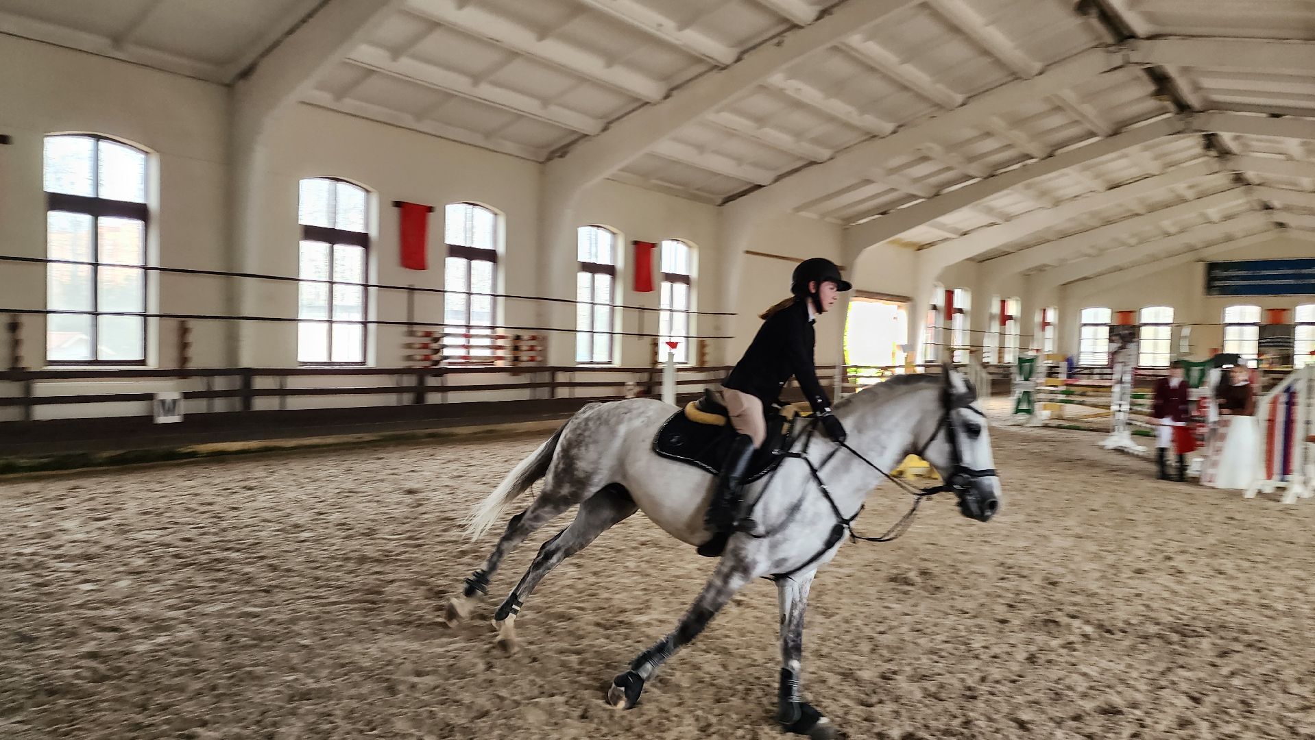 Подольск, Конкур, Лошади, Спорт,