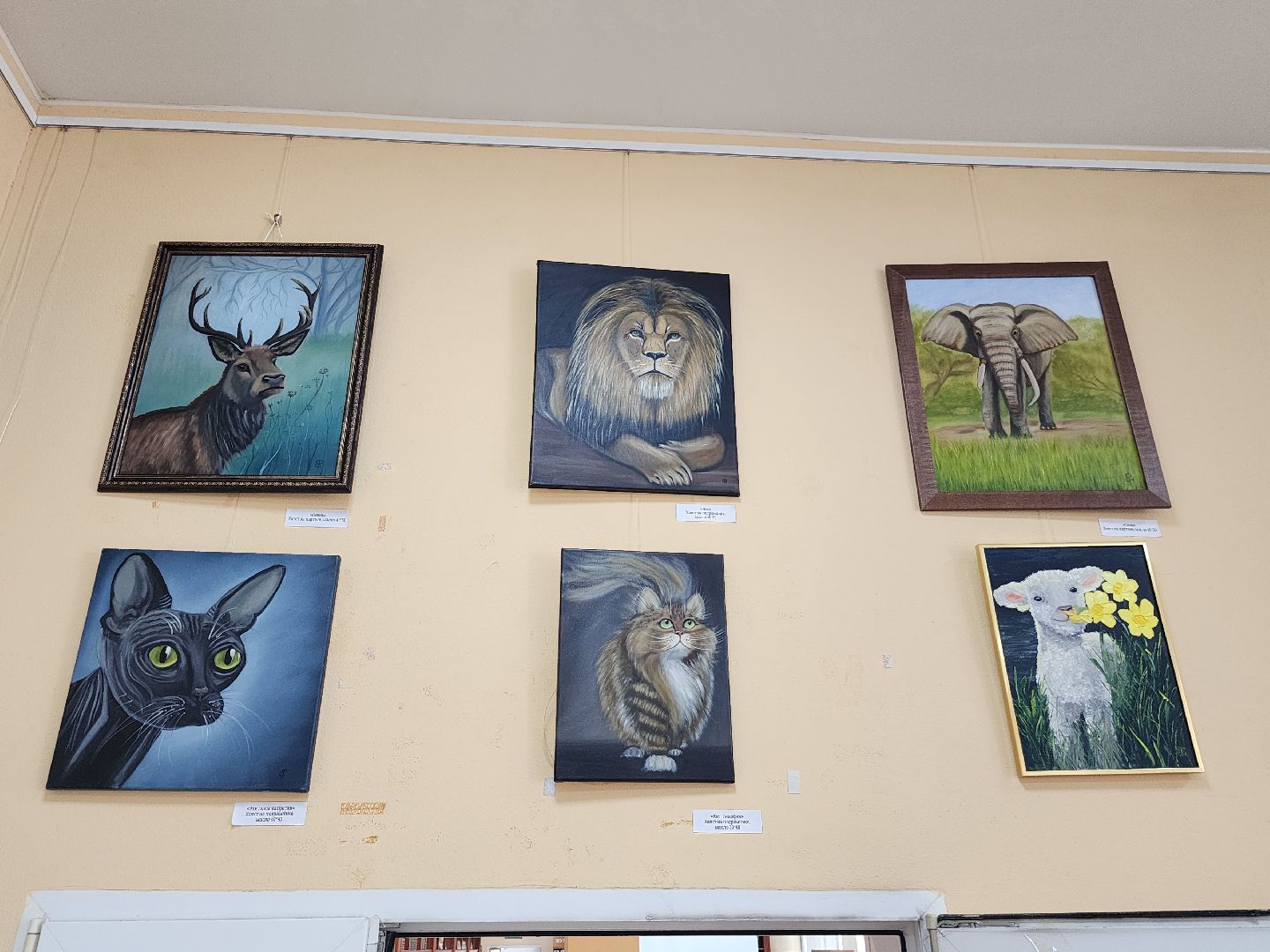 выставка,художественная выставка,