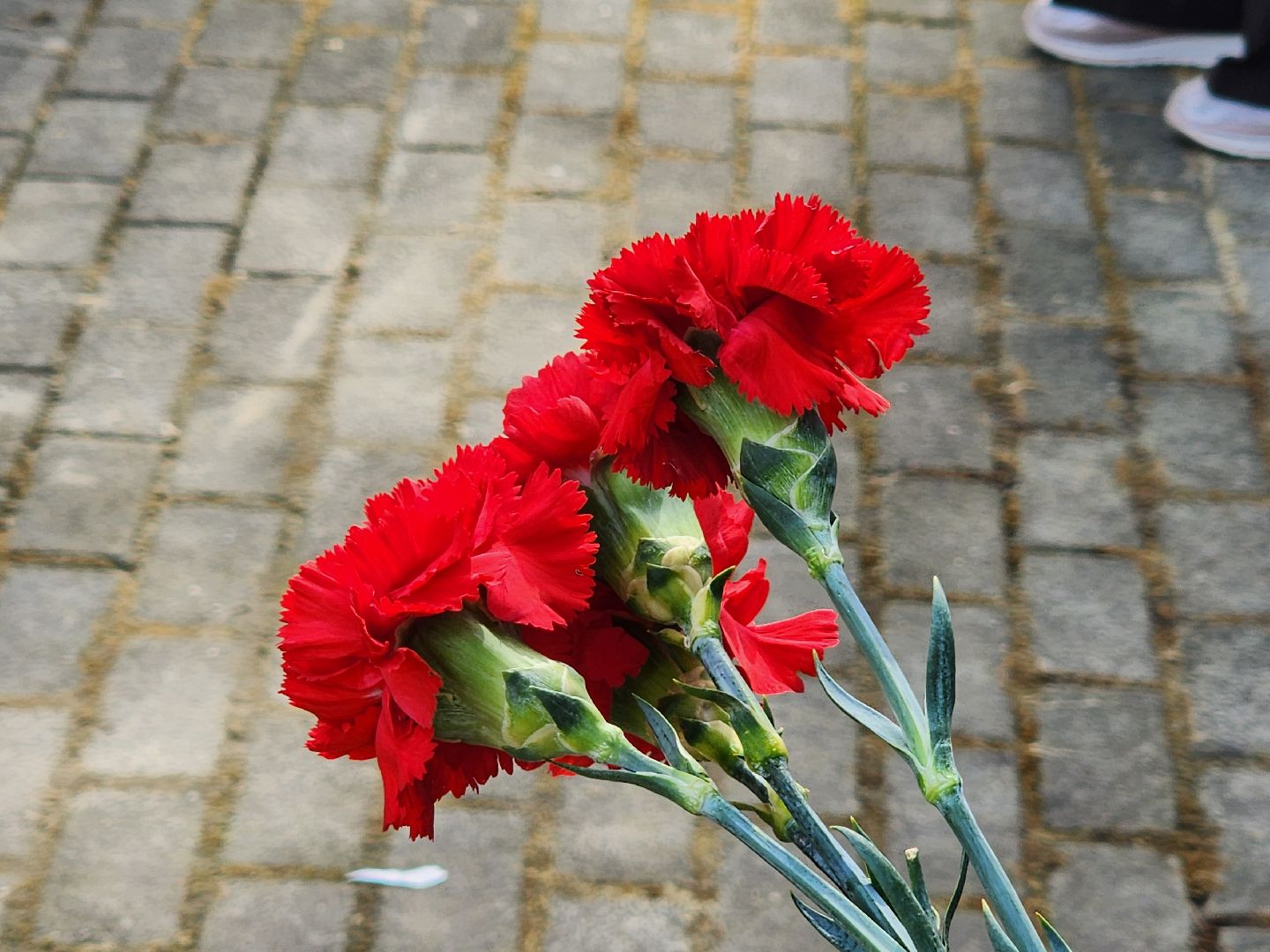 воскресенск, память, узники концлагерей, жители, война,