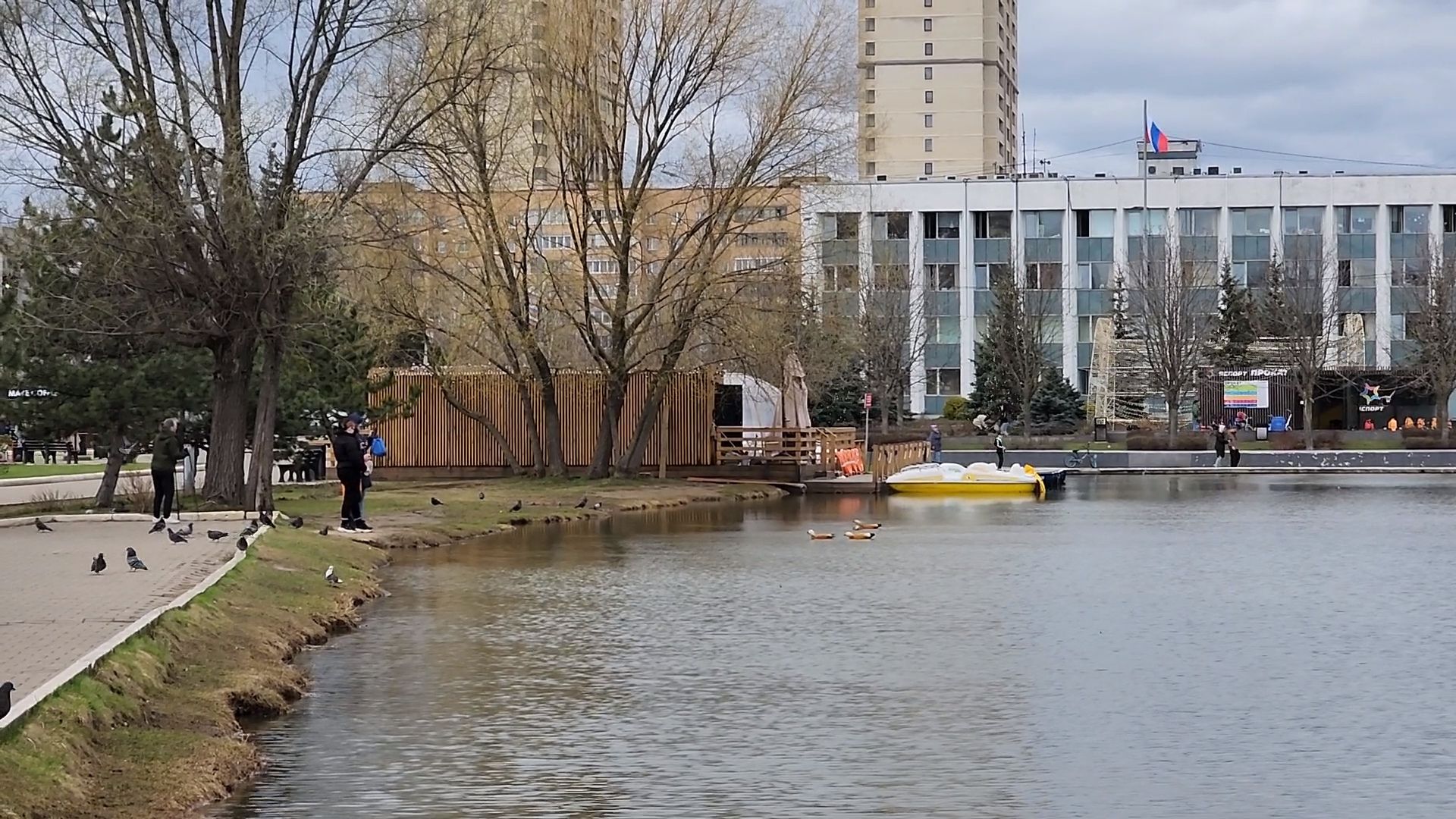 одинцово, уточки, корм для уточек, пруд,