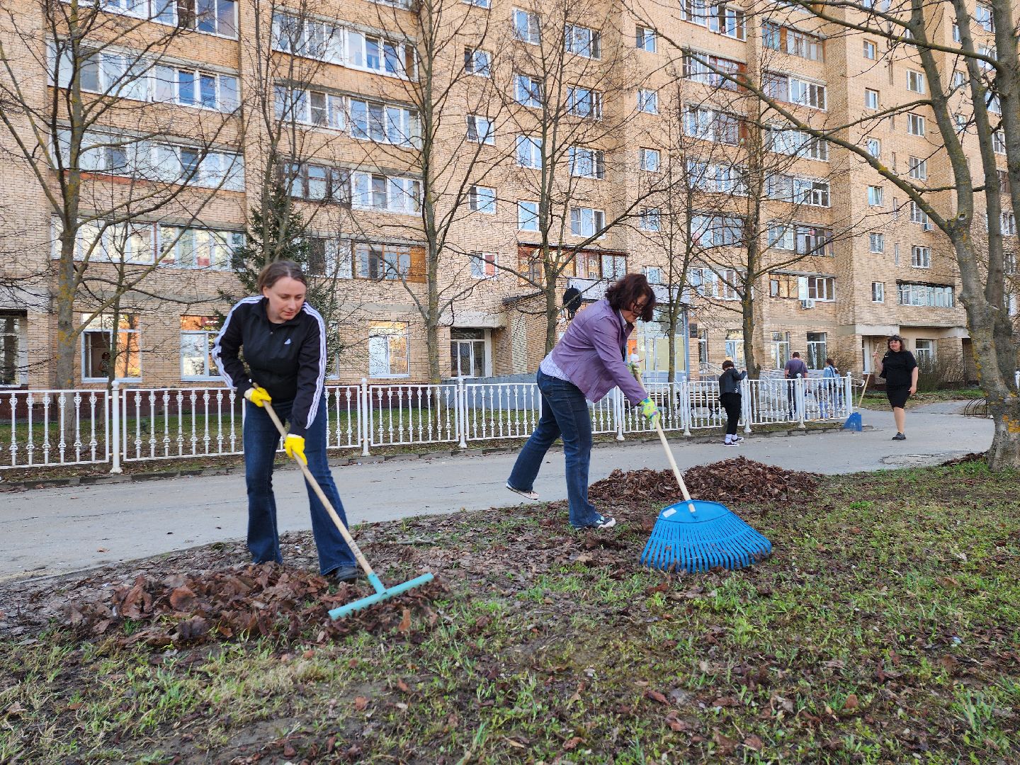 серпухов, уборка территории, подмосковье, журналисты, субботник,