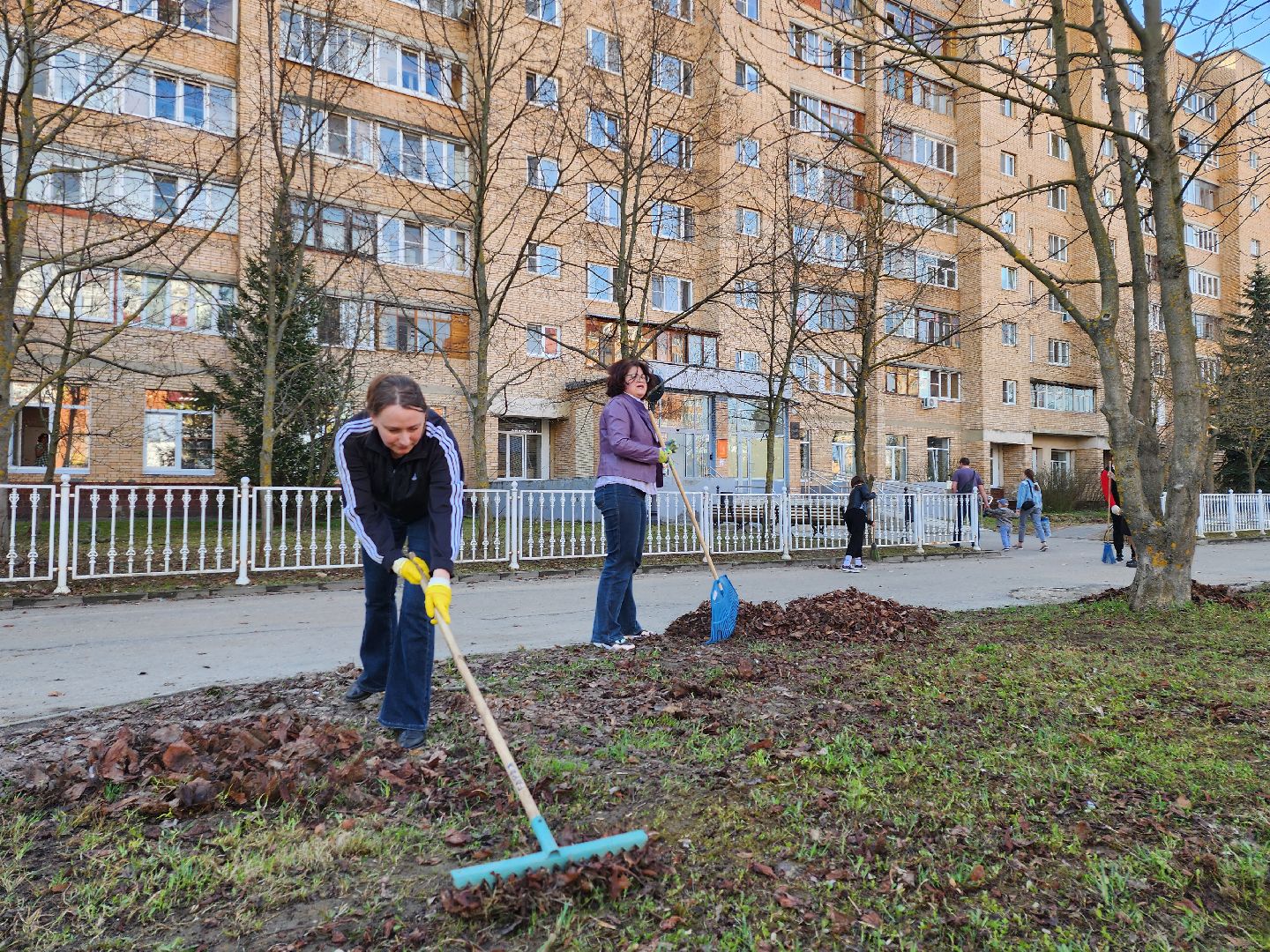 серпухов, уборка территории, подмосковье, журналисты, субботник,