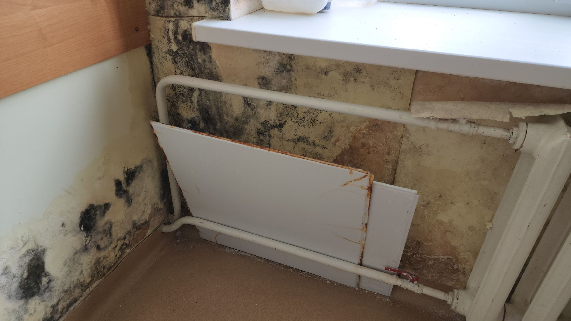 Ремонт, ремонт больницы, руза, рузская больница, рузский городской округ, министерство здравоохранения подмосковья,московская область,