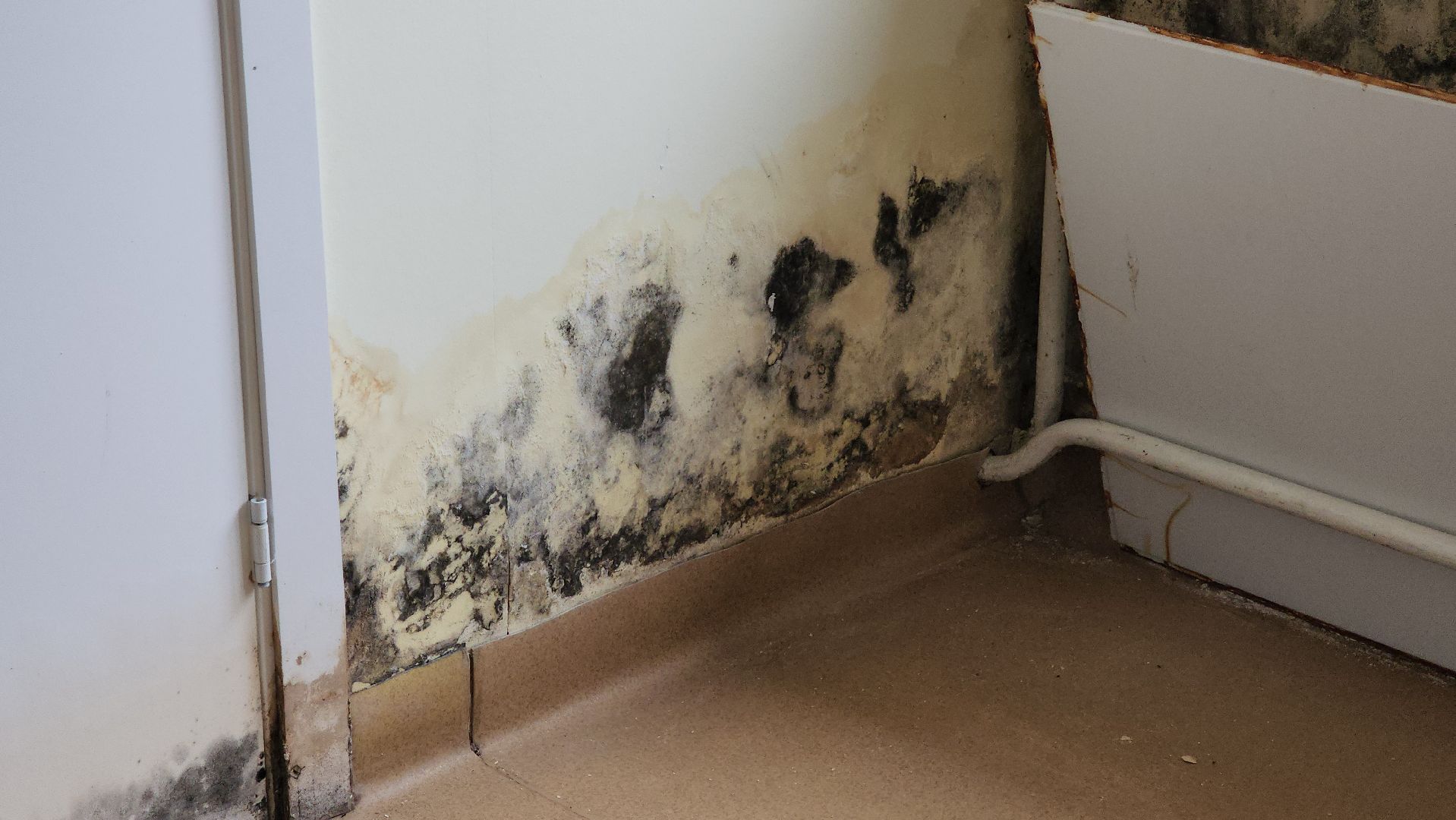 Ремонт, ремонт больницы, руза, рузская больница, рузский городской округ, министерство здравоохранения подмосковья,московская область,