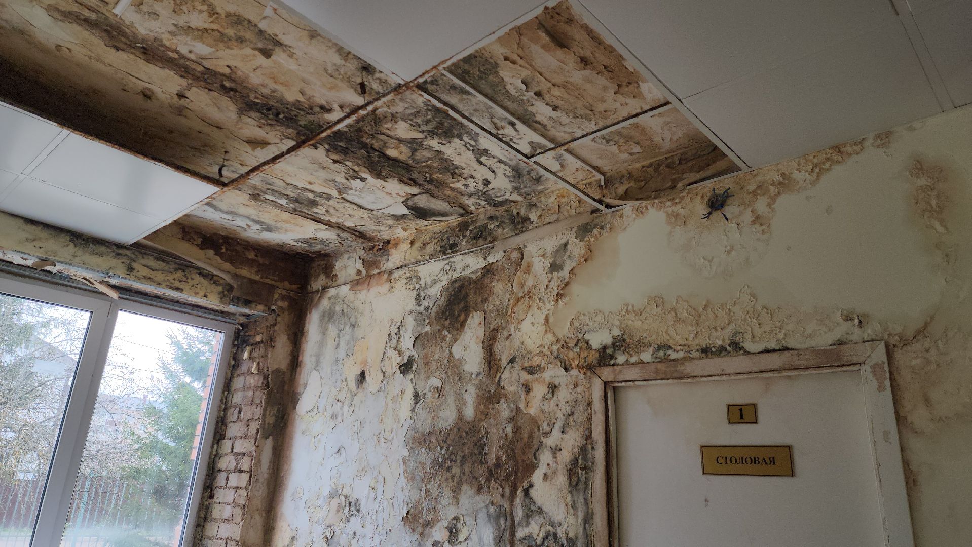 Ремонт, ремонт больницы, руза, рузская больница, рузский городской округ, министерство здравоохранения подмосковья,московская область,