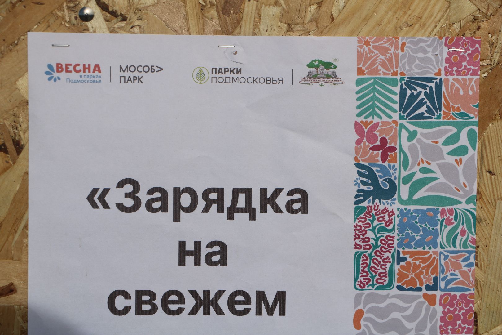 лотошино, лотошинский парк, лотошинский стадион, активное долголетие, паркиподмосковья,