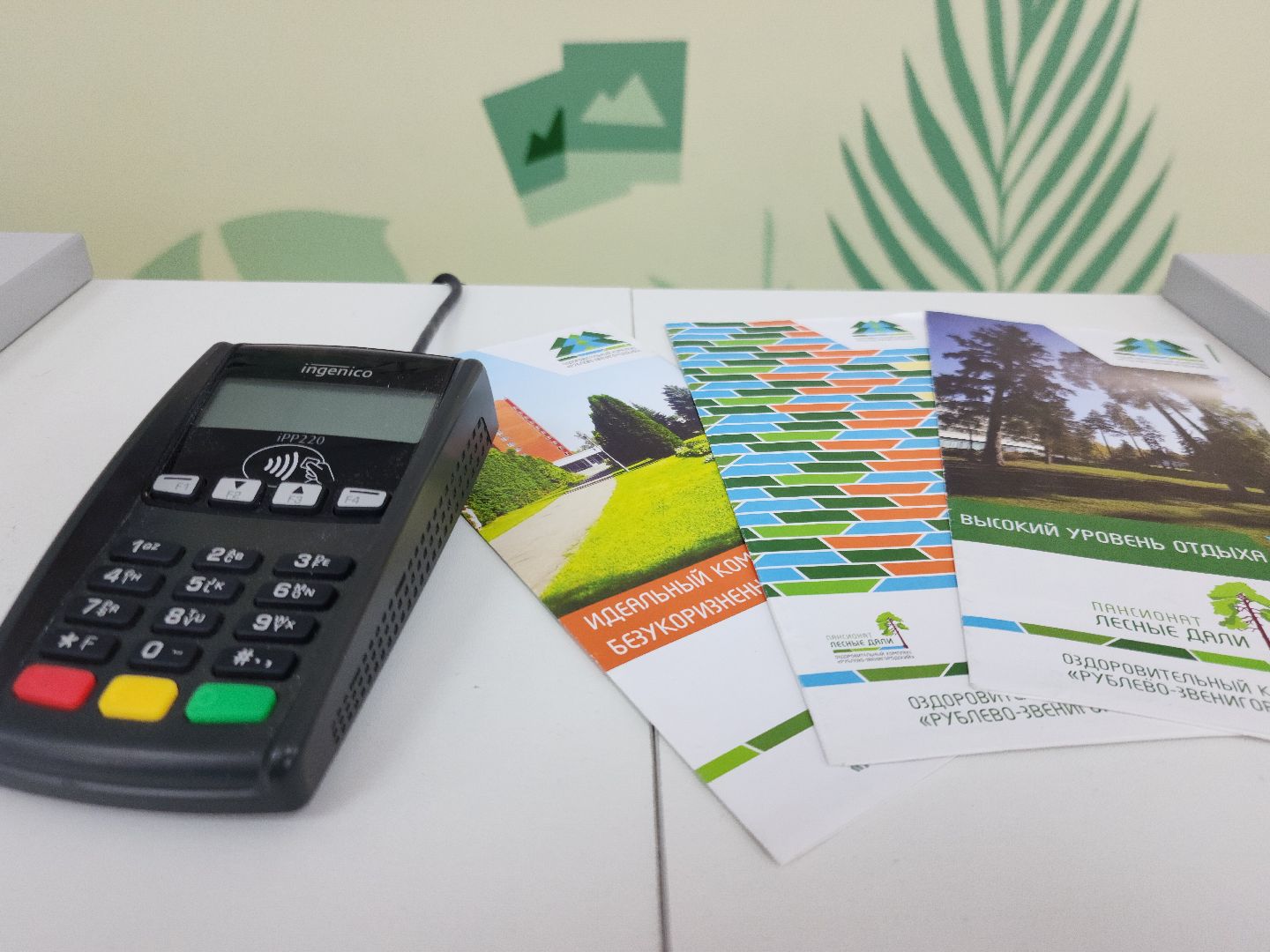 Звенигород, Образование, Профессионалы,