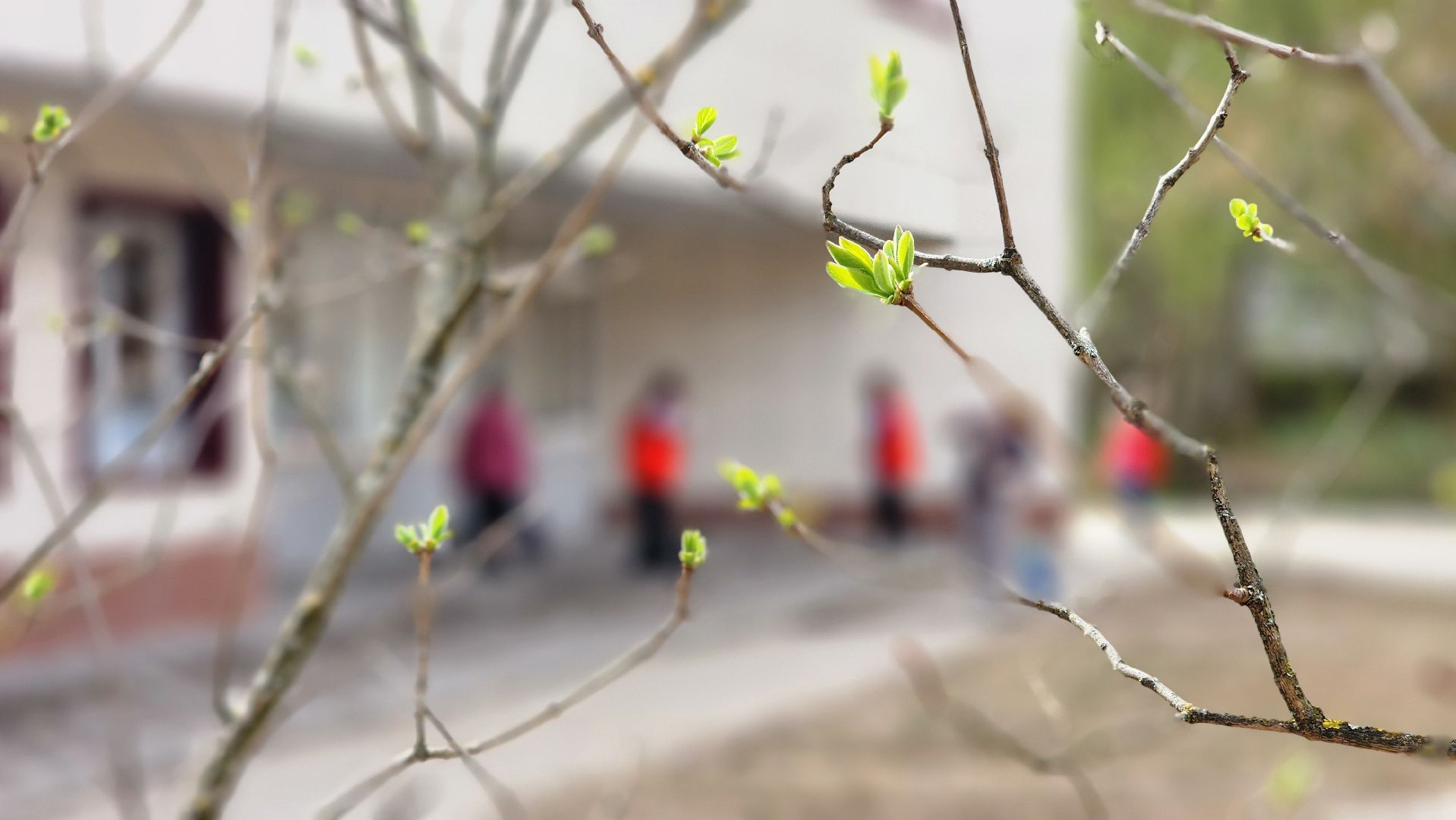 протвино, цми, дворец молодежи, субботник, чистота,