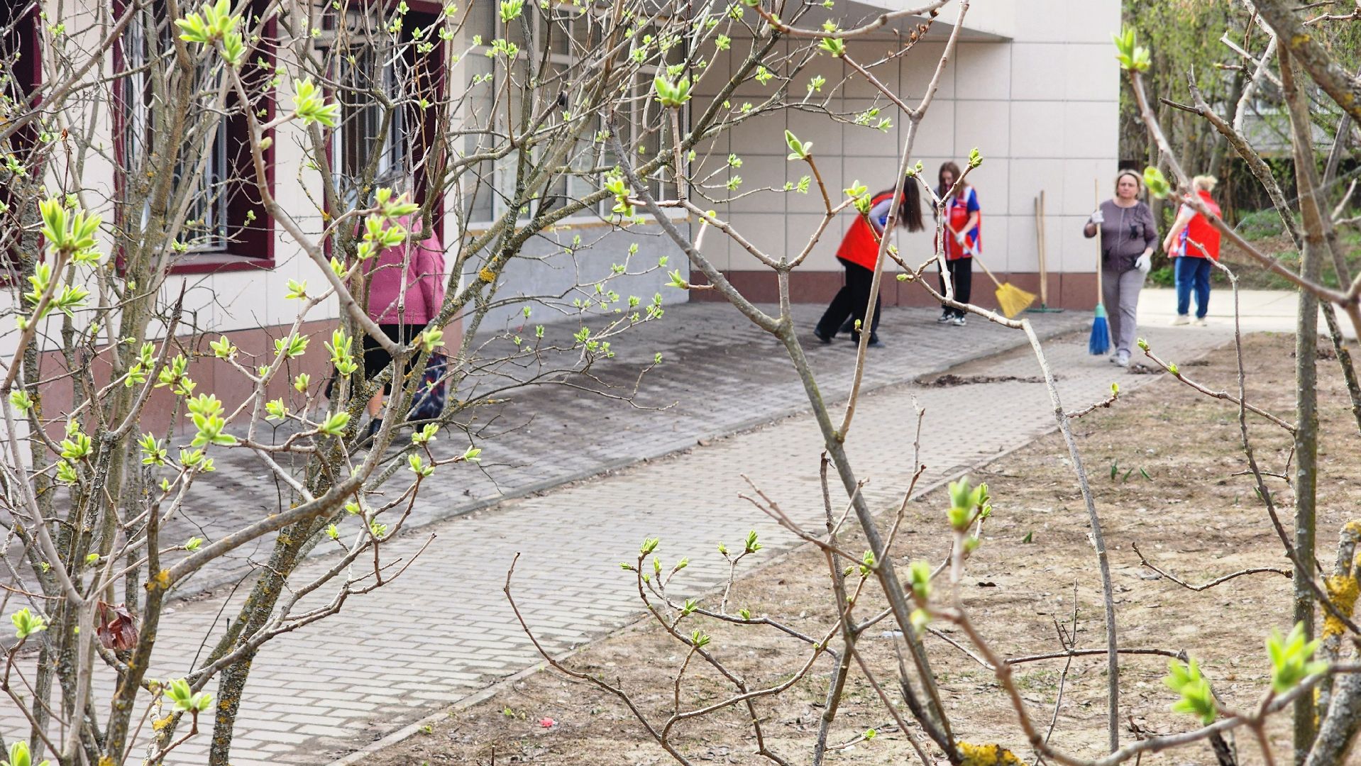 протвино, цми, дворец молодежи, субботник, чистота,