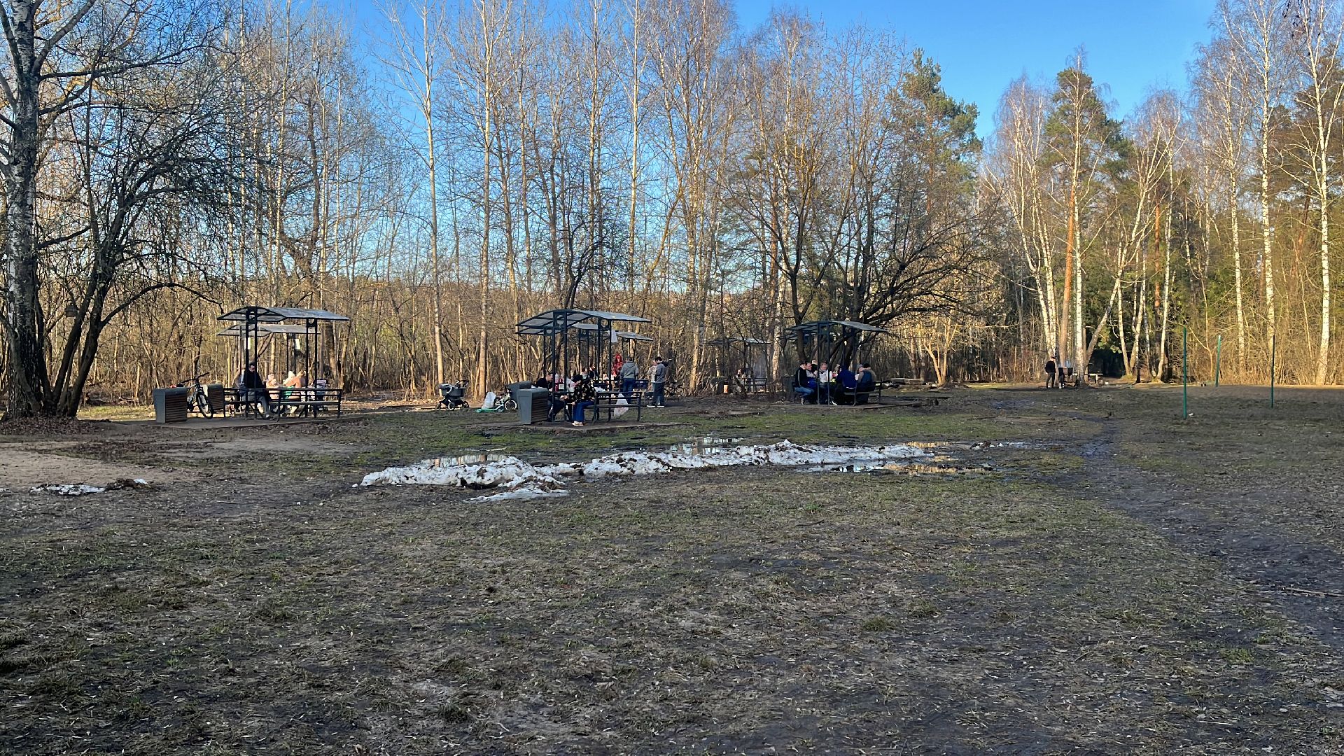 пикник, отдых на природе, пожарная безопасность,