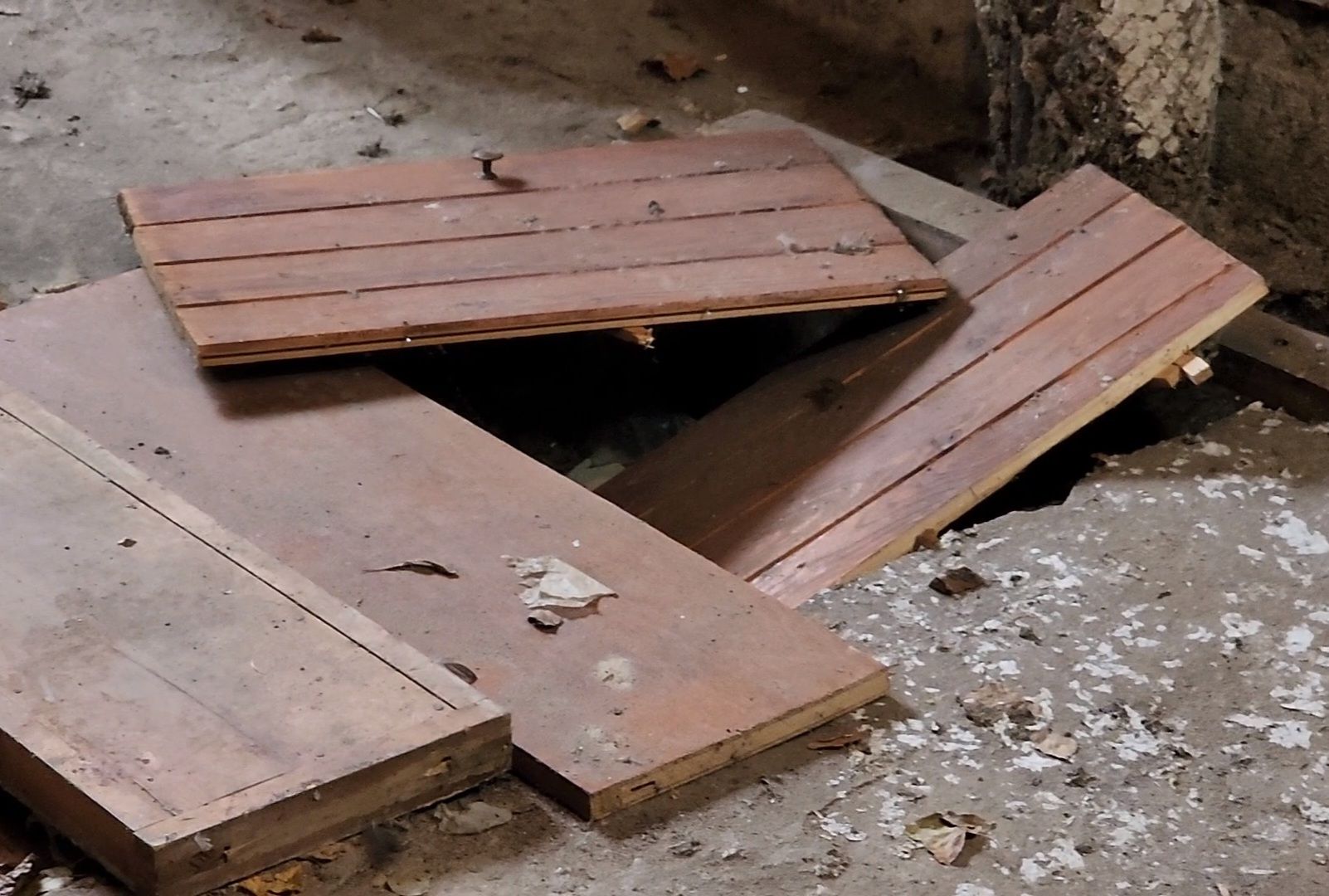 Дубна, Благоустройство, глава, жкх,