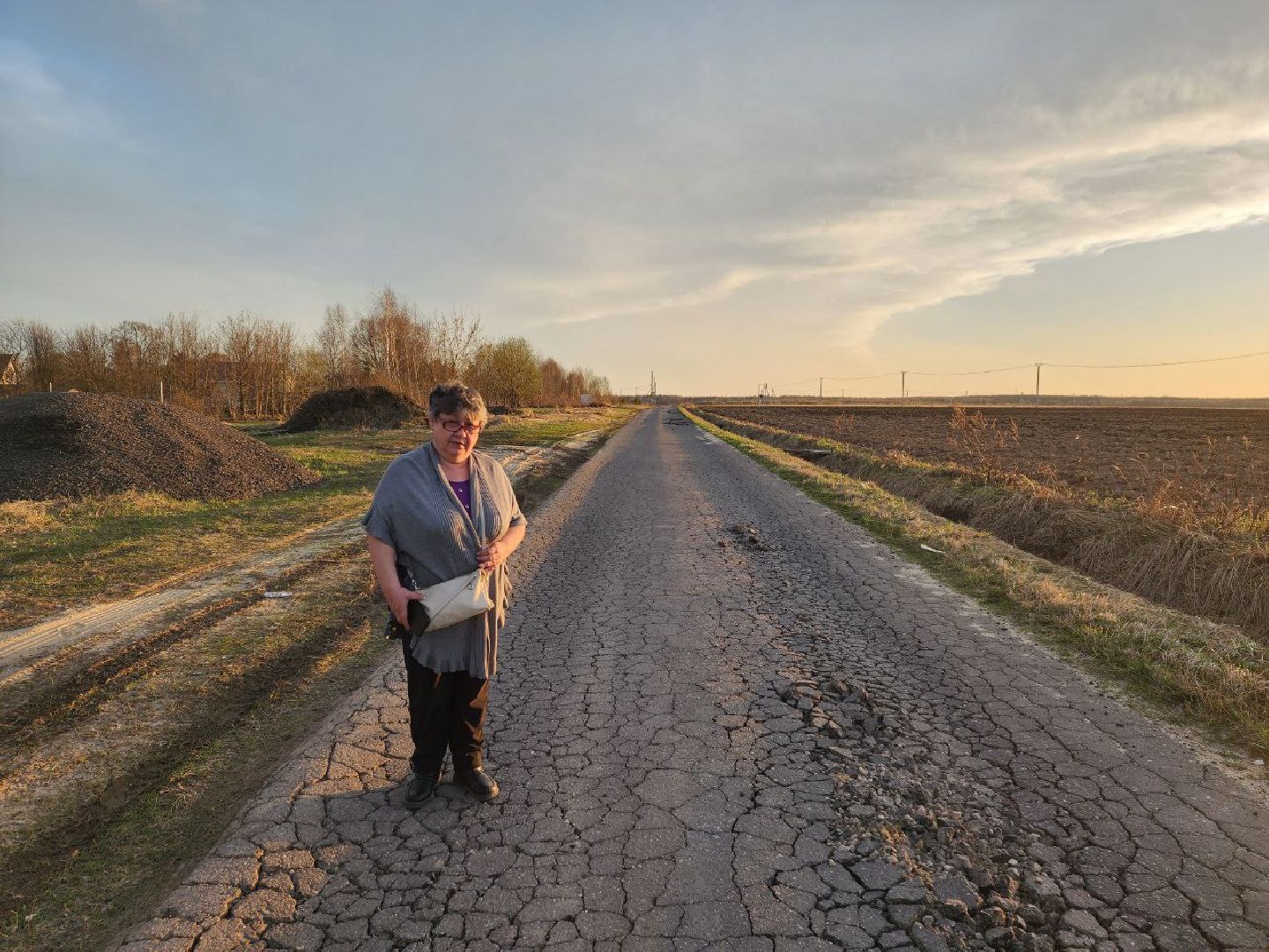 чехов, выездная администрация, жители, обращение жителей, ремонт дороги, деревня,