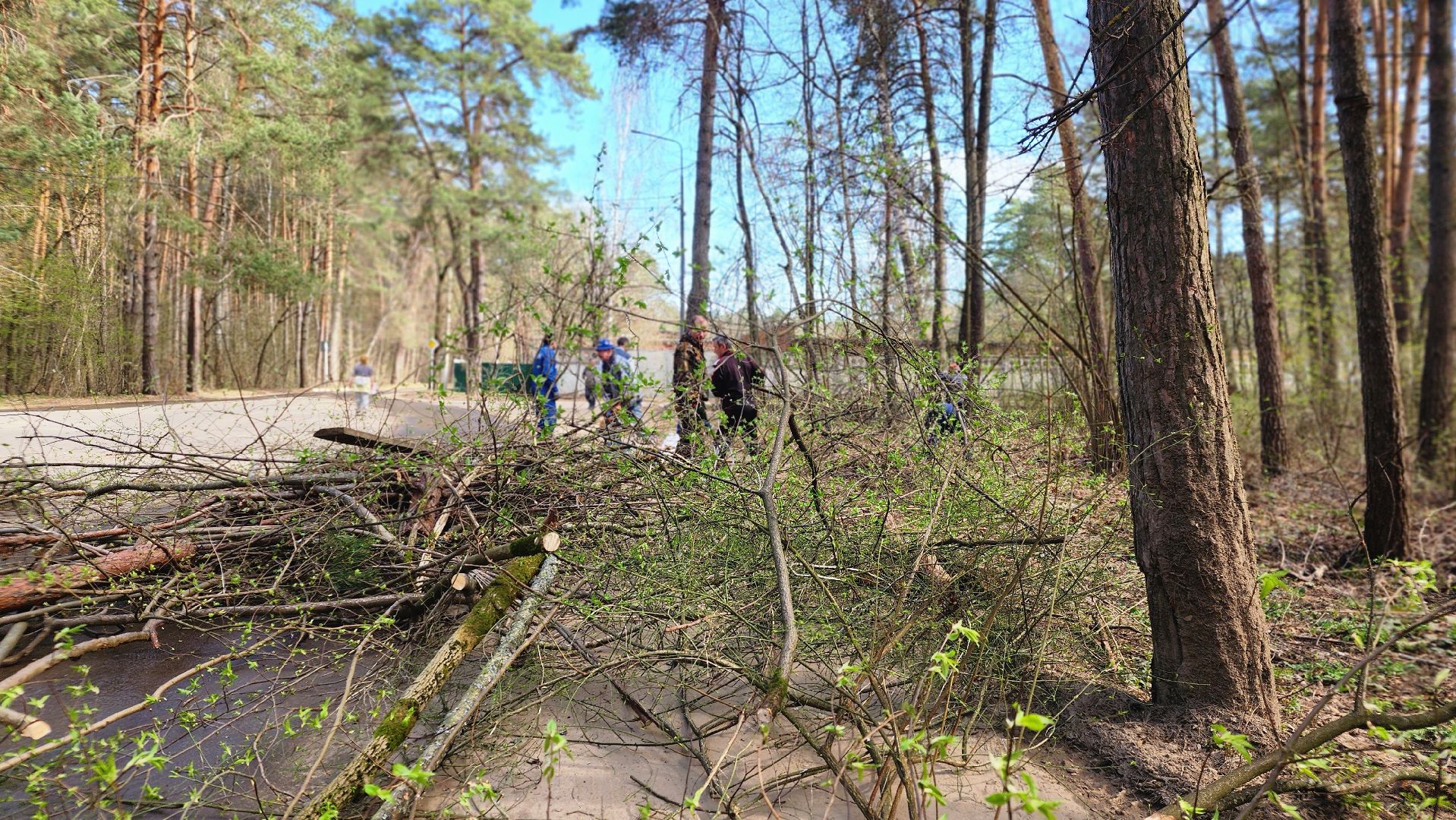 спортивная школа протвино, рубеж обороны, город протвино, субботник, месячник благоустройства,