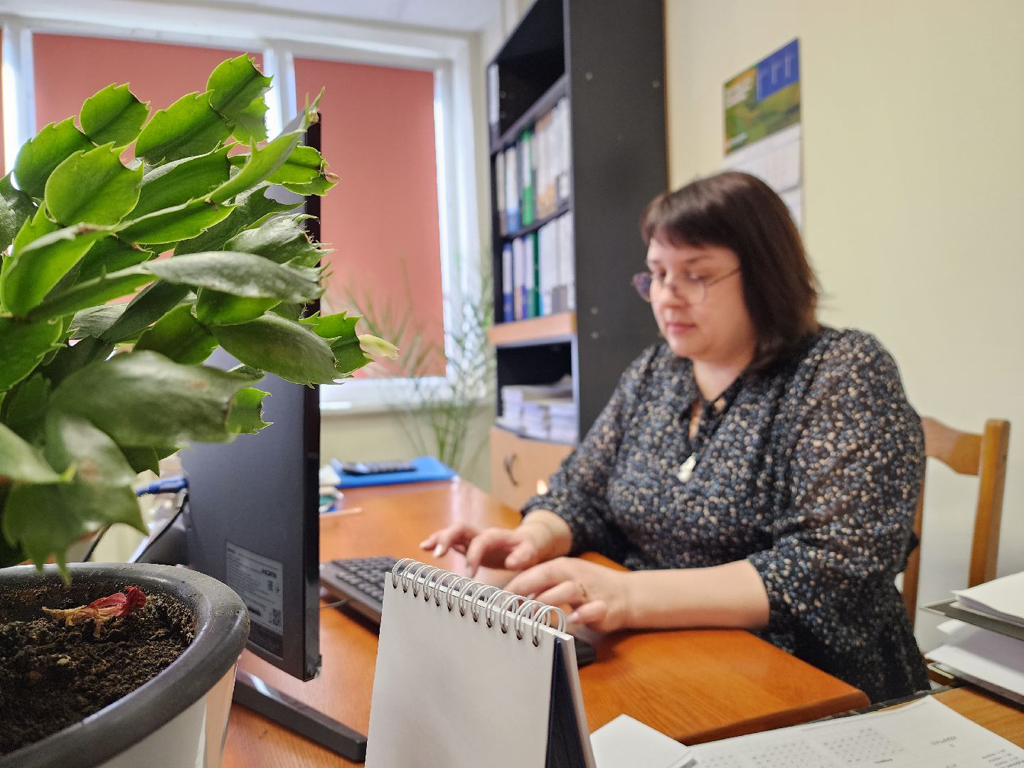 воскресенск, фетр, люди, профессия,