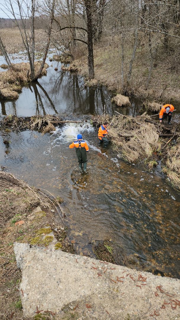 плотина, бобры, благоустройство, притыкино, дорожные работы, руза, рузский городской округ,