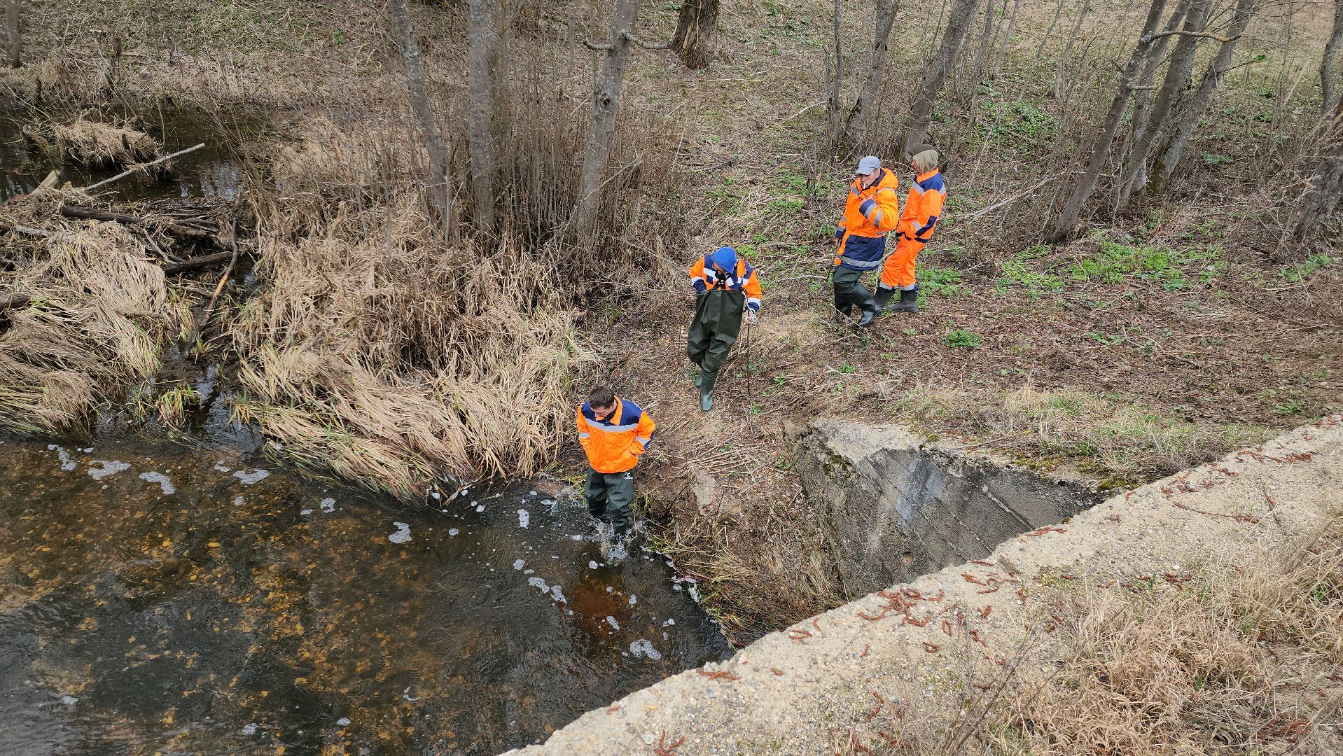 плотина, бобры, благоустройство, притыкино, дорожные работы, руза, рузский городской округ,