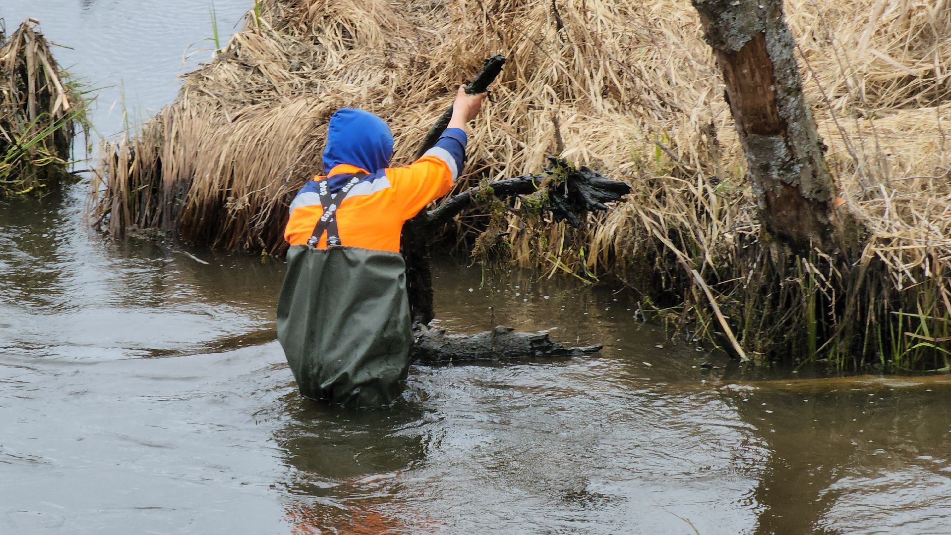 плотина, бобры, благоустройство, притыкино, дорожные работы, руза, рузский городской округ,