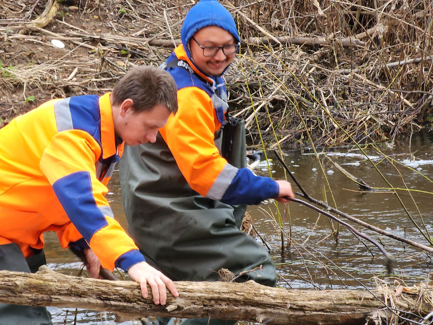плотина, бобры, благоустройство, притыкино, дорожные работы, руза, рузский городской округ,