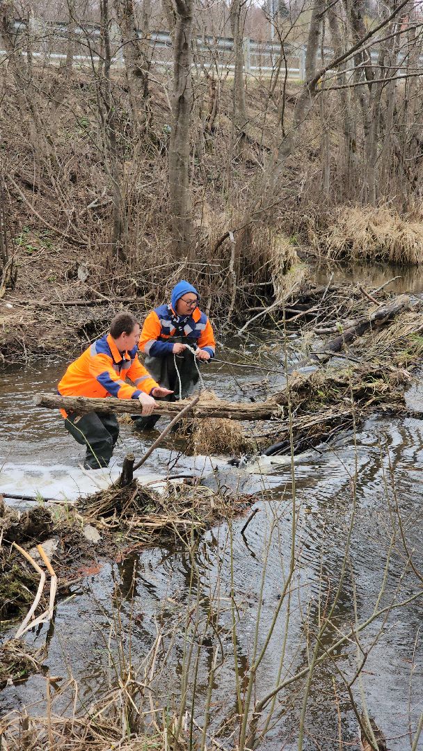 плотина, бобры, благоустройство, притыкино, дорожные работы, руза, рузский городской округ,