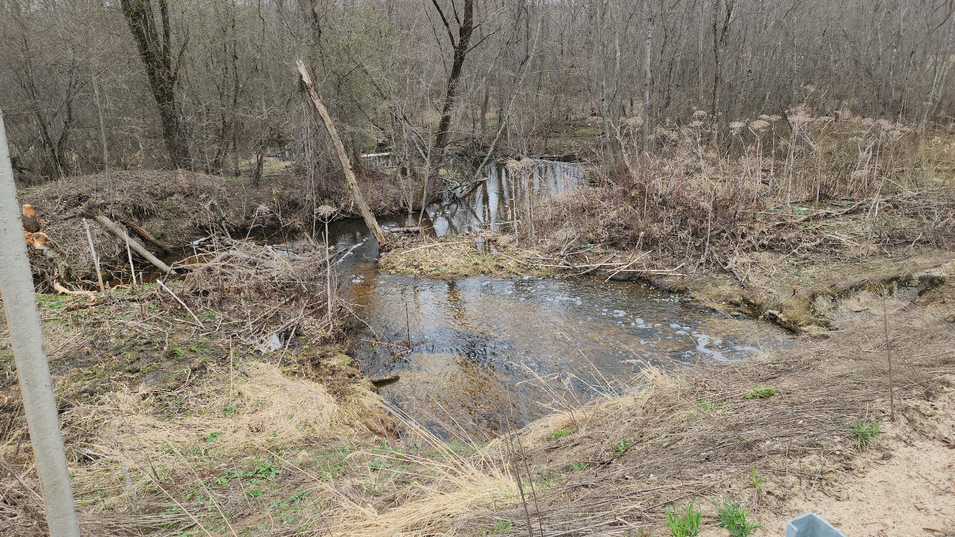 плотина, бобры, благоустройство, притыкино, дорожные работы, руза, рузский городской округ,