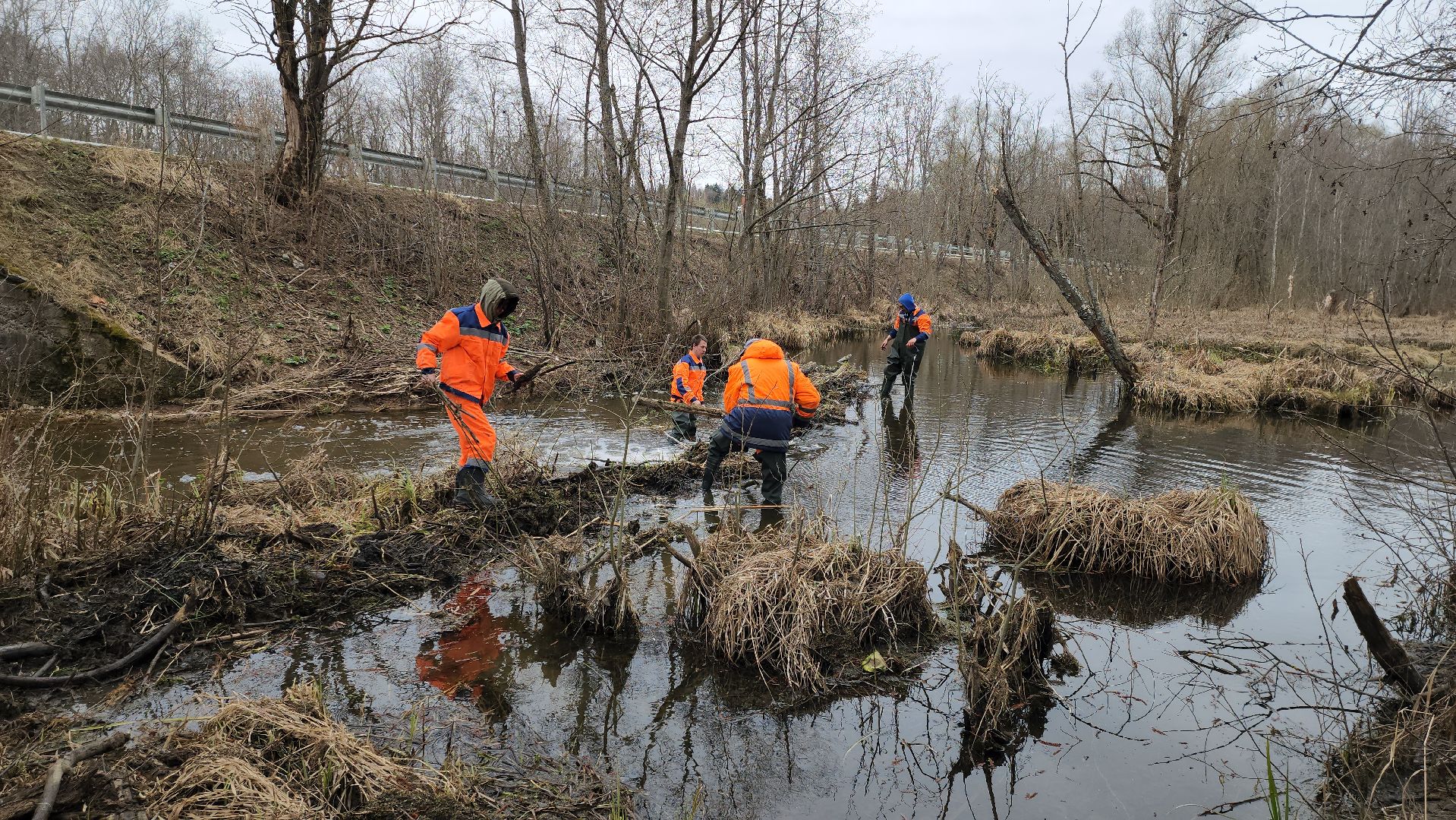 плотина, бобры, благоустройство, притыкино, дорожные работы, руза, рузский городской округ,