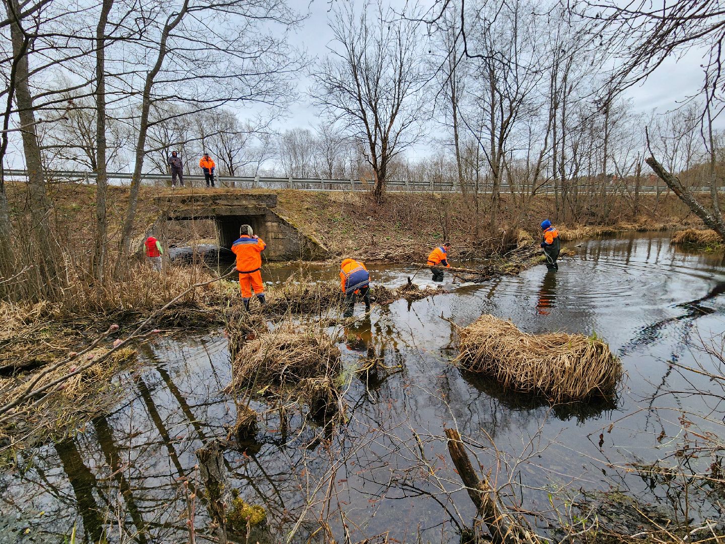 плотина, бобры, благоустройство, притыкино, дорожные работы, руза, рузский городской округ,