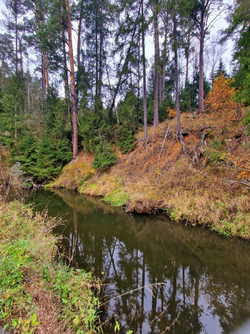 Звенигород, Благоустройство, Фонтаны,