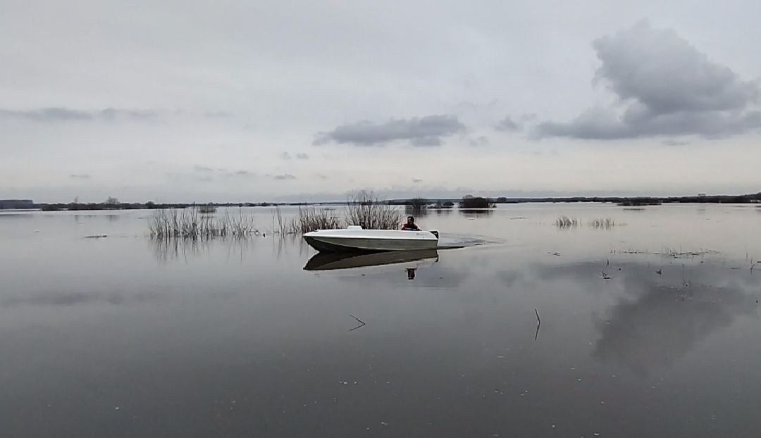 Россети, Луховицы, паводок